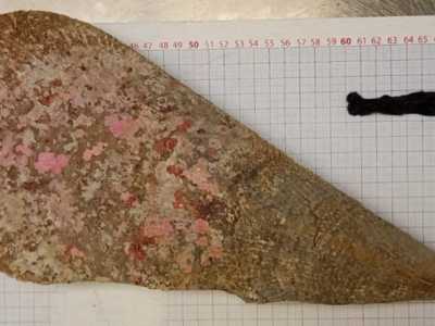 Un�arte, quella della lavorazione del bisso, riuscita a sopravvivere allo scorrere del tempo, portata avanti da piccoli laboratori